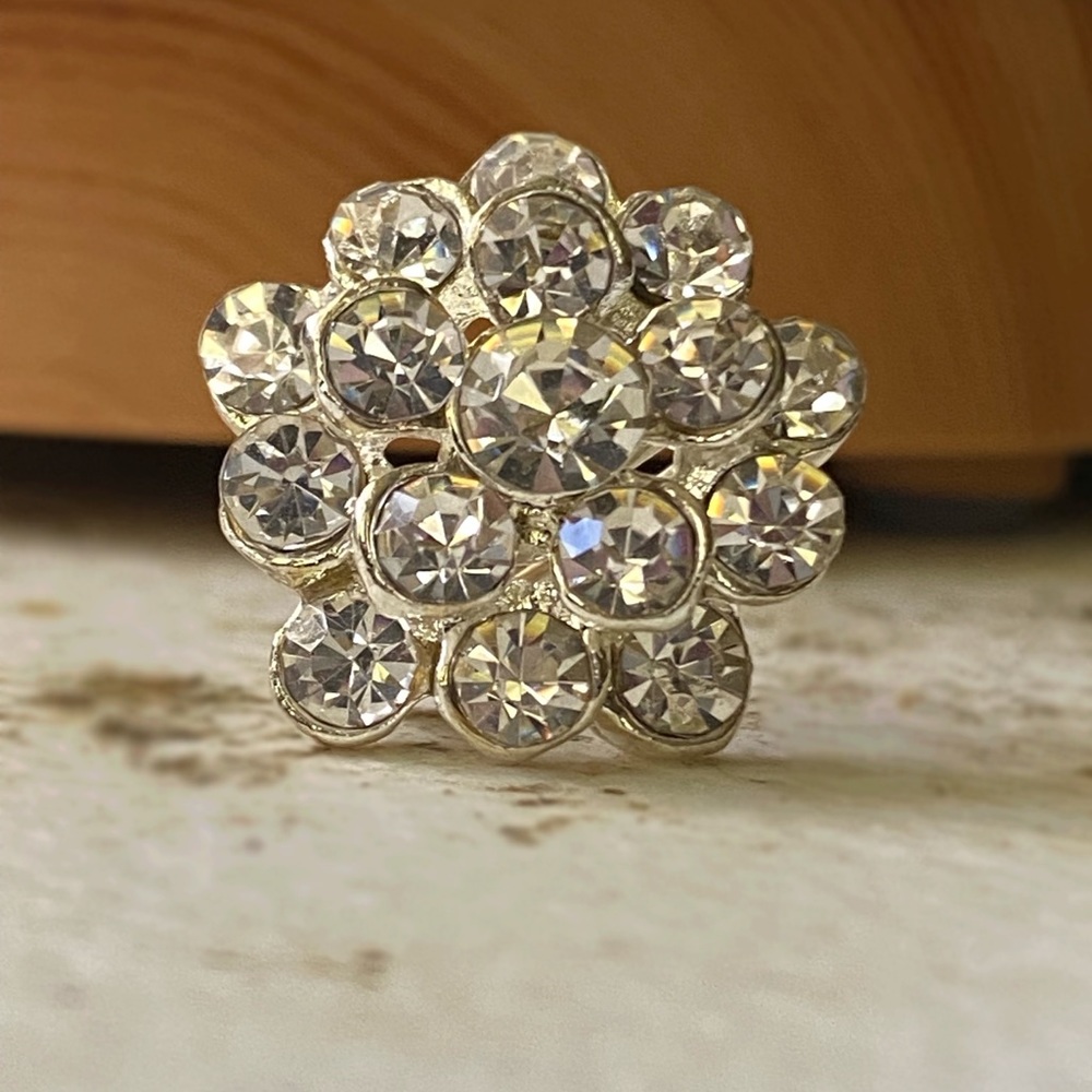 Pretty jeweled Pin